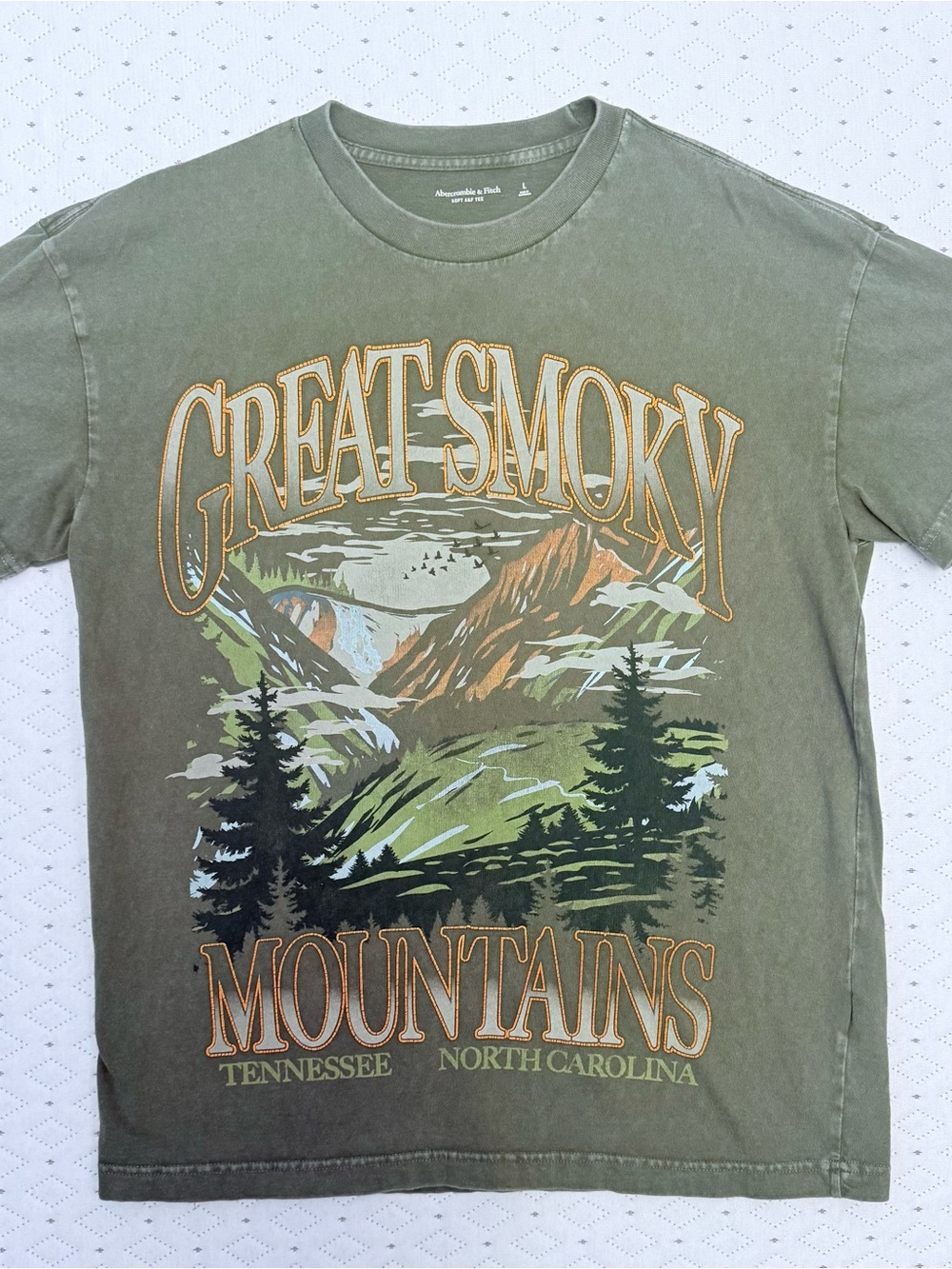 Abercrombie & Fitch Olive Green Great Smoky Mountains Graphic Tee